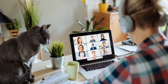 Woman has virtual meeting on laptop
